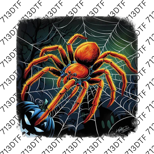 Halloween - Spider